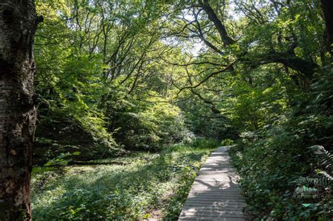 Fotoparade Meine Sch Nsten Fotos Tberg De