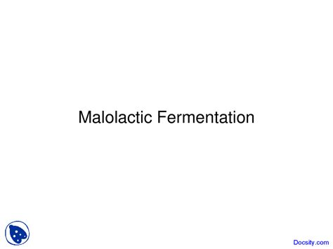malolactic fermentation wine lecture   winemaking