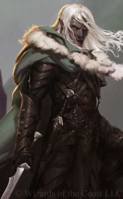 Drizzt Do'Urden | Character Profile Wikia | Fandom