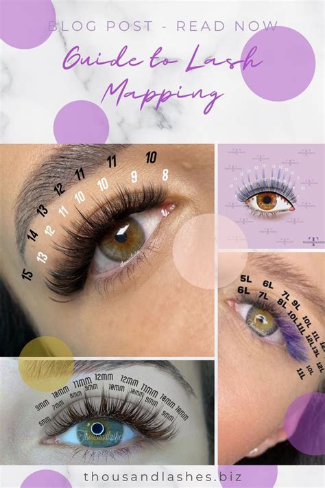 A Comprehensive Guide To Lash Mapping Lash Extensions Styles Lashes