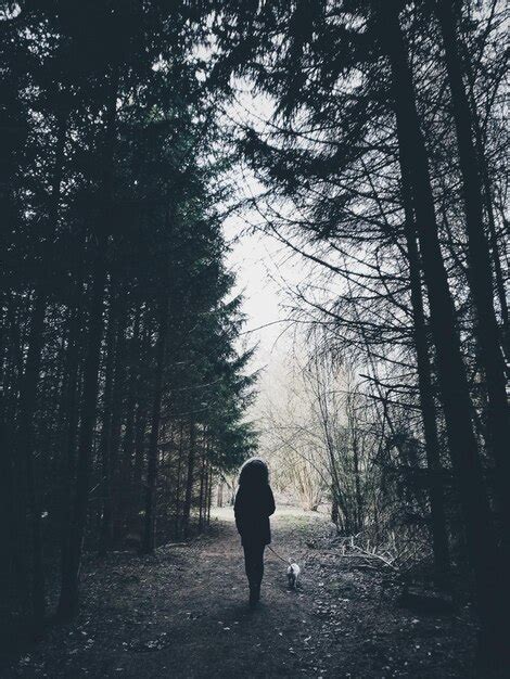 Vista Trasera De Un Hombre Caminando Por El Bosque Foto Premium