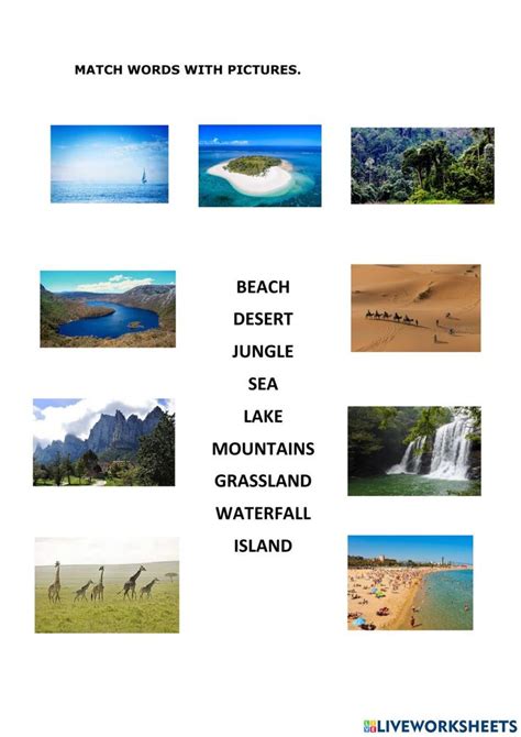 Match Landscape Vocabulary Worksheet Waterfall Island Vocabulary