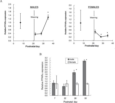 Figure 1 From Transcriptome Analyses Demonstrate That Peroxisome