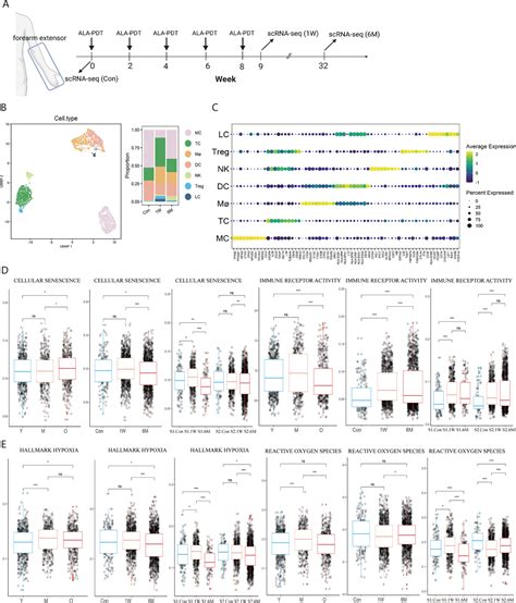 Frontiers Single Cell Transcriptome Profiling Reveals Cutaneous