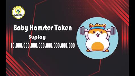 Baby Hamster Token Token Meme Dengan Project Nft Marketplace And Dapp