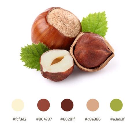 Hazelnut Color Palette Food Colors Palette