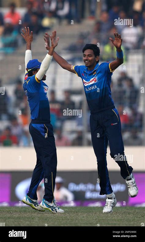 Sri Lanka S Dushmantha Chameera Right Celebrates The Dismissal Of