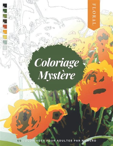 Buy Coloriage Myst Re Livre De Coloriage Pour Adultes Par Num Ro