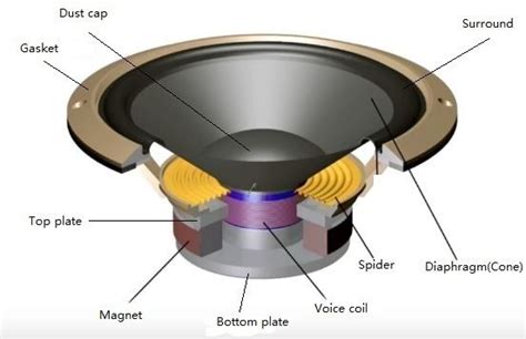 Parts Of A Speaker Diagram