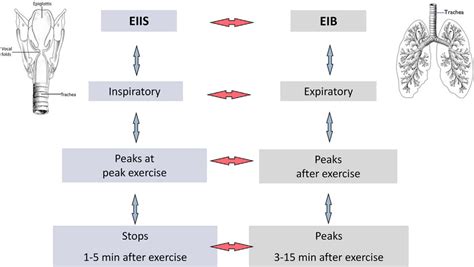 Characteristics Of Exercise Induced Inspiratory Symptoms Eiis Versus