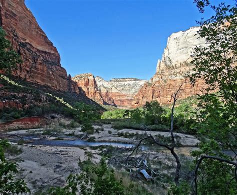 Best Zion National Park Trails for Families | Trekaroo