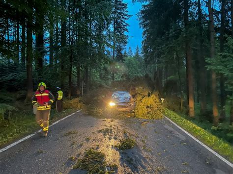 FF Rainbach Sperre auf der B136 Baum stürzt auf fahrendes Auto