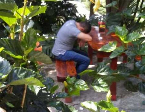 Consumidores se refugian entre los árboles en el barrio Bajo Prado