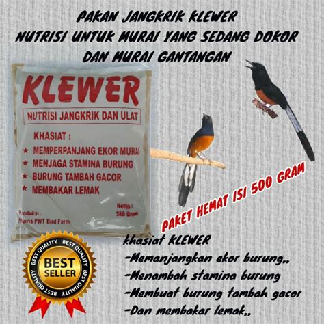 Jual PAKAN JANGKRIK ASUPAN NUTRISI UNTUK MURAI YANG SEDANG DOKOR DAN