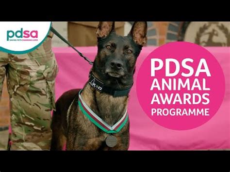 Animal Awards Programme - PDSA