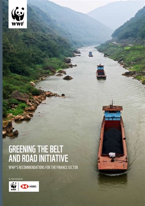 Greening The Belt And Road Initiative Wwfs Recommendations For The