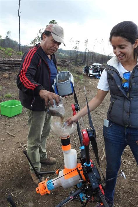 Usan Drones Para Reforestar Bosques En Veracruz