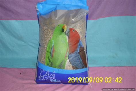 Nowra Hydroponics And Pet Supplies Avi Grain Blue Parrot Mix