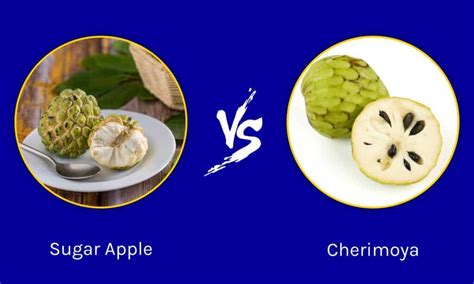 Sugar Apple vs Cherimoya