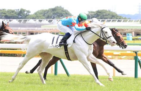 【東京新馬戦】白毛馬ハイアムズビーチ優勝 北村宏「頑張ってくれました」 新ヒロイン候補誕生― スポニチ Sponichi Annex ギャンブル