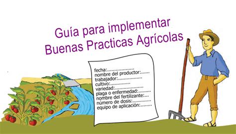 Manual para implementar Buenas Prácticas Agrícolas InfoAgronomo