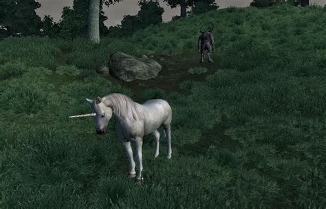 Ranking All The Horses In The Elder Scrolls Series