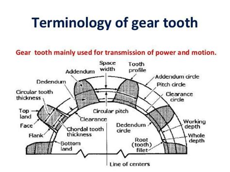 Terminology Of Gear Tooth More In Mechanical Engg