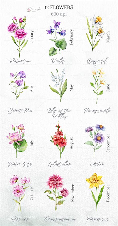 Birth Month Flowers Watercolor Collection - Design Cuts