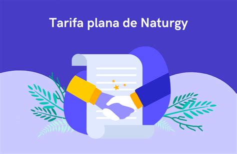 Tarifa Plana Zen De Naturgy Analizamos Si Merece La Pena