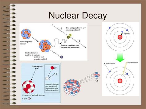 Ppt Outline Chapter 8a The Nucleus Powerpoint Presentation Free