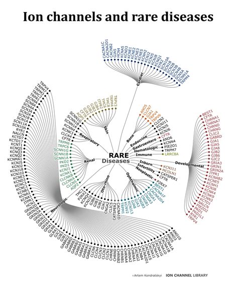 Ion channels and rare diseases – ION CHANNEL LIBRARY