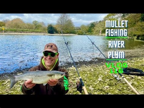 Sea Fishing Uk Bass And Mullet Fishing Saltram Beach River Plym