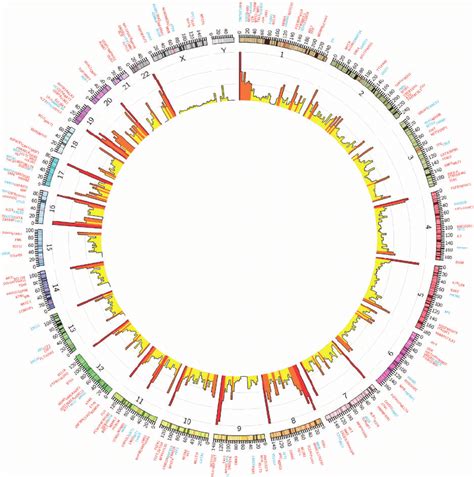 Circos Plot For The Distribution Of Differentially Methylated Regions