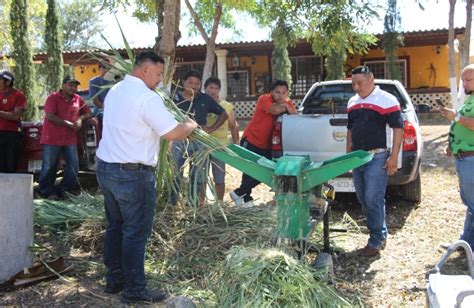 Impulso al campo y productores de Umán CM Noticias Mérida