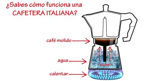 Diagrama Electrico De Una Cafetera Estructura Funcionamient