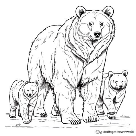 Grizzly Bear Coloring Pages Free And Printable