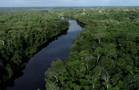 Desenvolvimento Ambiental Relatório Anual aponta redução de mais de