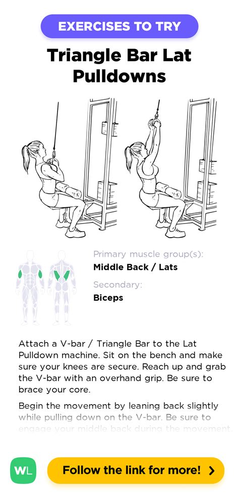 V-Bar / Triangle Bar Lat Pulldowns / Pull Downs / Pullovers ...