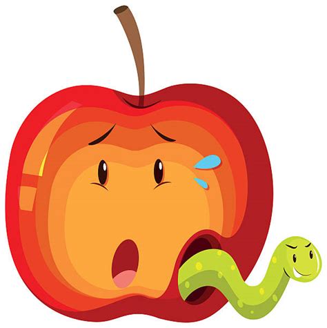 Best Rotten Apple Illustrations Royalty Free Vector Graphics And Clip