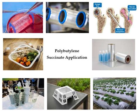 Polybutylene Succinate Biosynthesis Alfa Chemistry