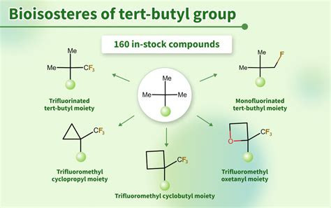 Bioisosteres Of The Tert Butyl Group