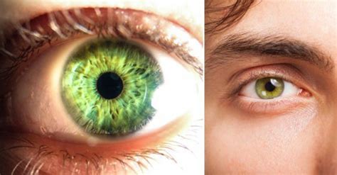 3 Datos Curiosos Sobre Las Personas Con Ojos Verdes Via Ritmo