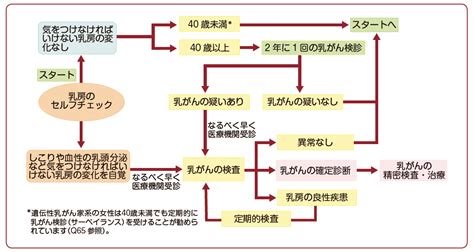 Q1 乳がん検診について教えてください ガイドライン目次 患者さんのための乳がん診療ガイドライン2023年版