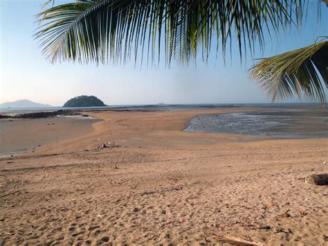 Shorelines » Blog Archive From the Field: Playa Veracruz - Shorelines