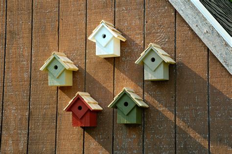 Summer Home Birdhouse By Heartwood Bird Houses