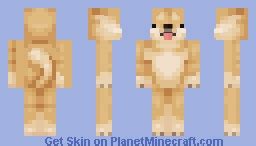 Simply a doge Minecraft Skin