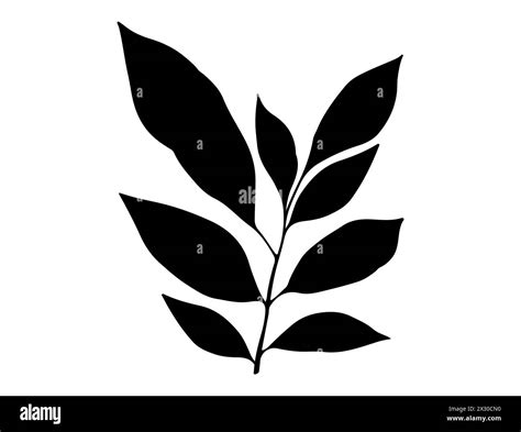 Branch With Leaves Silhouette Vector Art Stock Vector Image Art Alamy