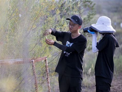 Desert Turns Into Oasis In Nw China Xinhua Line Today