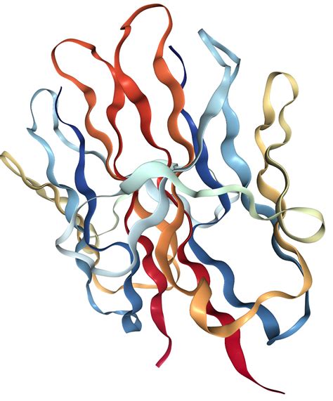 cdb general information sino biological