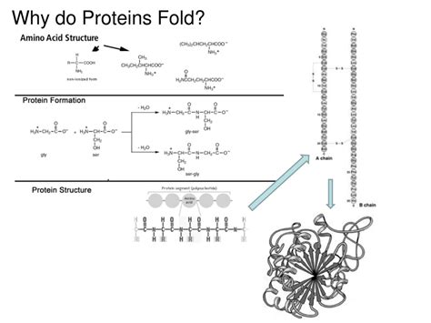 PPT - Chapter 12: Solutions and other complex forces PowerPoint